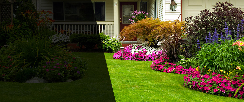 Cassville Landscapers